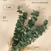 Цветы искусственные &laquo;Эвкалипт цинерия галант&raquo;, h=51 см, зелёные