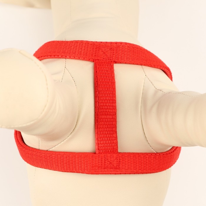 Шлейка Шлейка "Комфорт" комбинированная, 1,5 см, ОШ 36-50 см, ОГ 40-55 см, красная