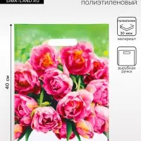 Пакет подарочный &laquo;Натюрель&raquo; полиэтиленовый с вырубной ручкой, 30&times;40 см, 30 мкм