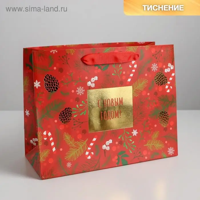 Пакет подарочный новогодний ламинированный «Время волшебства», MS 23 х 18 х 10 см