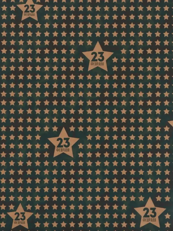 Бумага упаковочная крафт &laquo;Звёзды 23 февраля&raquo;, 50&times;70 см