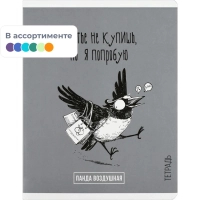 Тетрадь 48 л, клетка  ПАНДА-ВАЙБ А5+, а ассорт/70928
