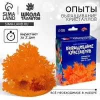 Выращивание кристаллов &laquo;Опыты. Лучистые кристаллы&raquo;, цвет оранжевый