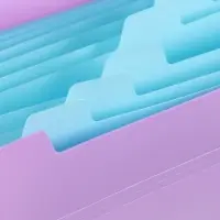 Папка А4 Haze, 12 отделений, 600 мкм, на кнопке, сиреневая