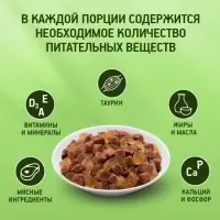 Влажный корм Kitekat для кошек, говядина в желе, пауч, 85 г