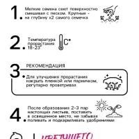 Семена цветов Колокольчик "Карпатский Голубой", 0,1гр.