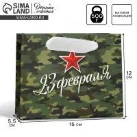 Пакет подарочный ламинированный, упаковка, «С 23 февраля», S 15 х 12 х 5.5 см