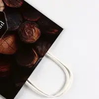Пакет подарочный крафт Present, 21×11×27 см