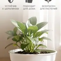 Горшок цветочный, 1 л, d=14 см, h=11.2 см, пластиковый, с поддоном, белый