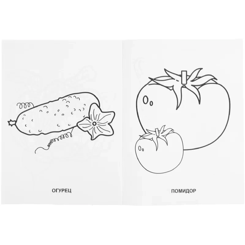 Раскраска Фрукты и овощи.215х290мм. Объем: 16 стр. Умка , 978-5-506-00827-9