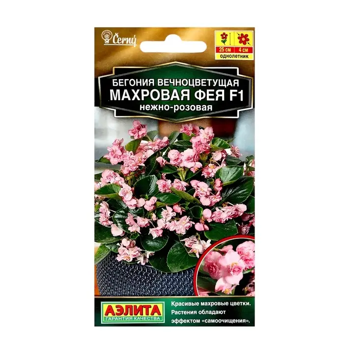 Семена цветов Бегония вечноцветущая махровая  Семена цветов Бегония вечноцветущая махровая "Фея" F1 нежно-розовая, ц/п, 5 шт