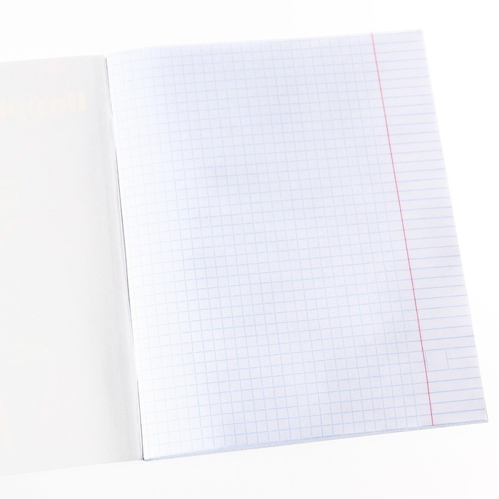 Тетрадь 48 листов в клетку, картонная обложка Тетрадь 48 листов в клетку, картонная обложка "Лучшие друзья", Гравити Фолз