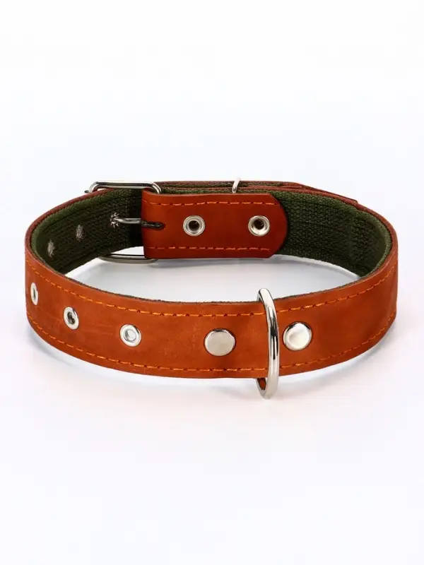 Ошейник комбинированный, безразмерный, 65&times;3.5 см, ОШ 31-61 см, кожа, брезент, коричневый