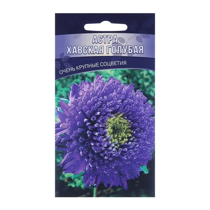 Семена цветов Астра  Семена цветов Астра "Хавская Голубая", 0,15 г