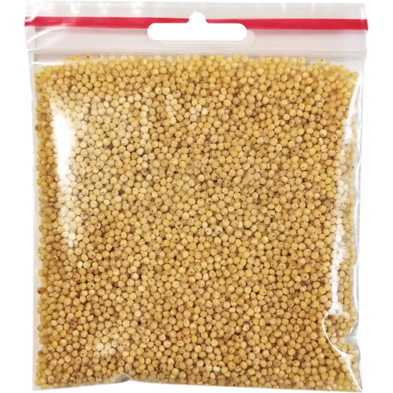Пакет с замком (Zip Lock) с европодвесом 10 х 10 см, 60 мкм, 100 шт/уп