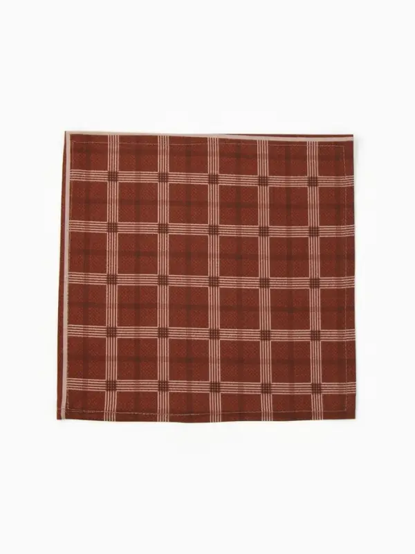 Платки носовые мужские &laquo;Этель&raquo;, 30&times;30 см, набор 12 шт., 100% хлопок, коричневые, рисунок МИКС