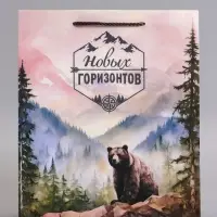 Пакет подарочный ламинированный &laquo;Северный характер&raquo;, 26&times;12&times;32 см