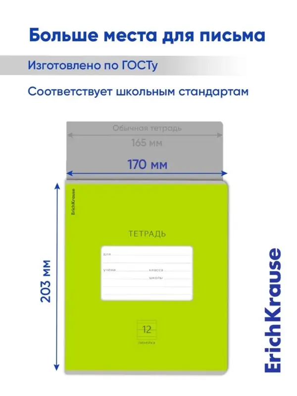 Тетрадь 12 листов в линейку ErichKrause &laquo;Классика Bright&raquo;, обложка мелованный картон, блок офсет, белизна 100%, зелёная