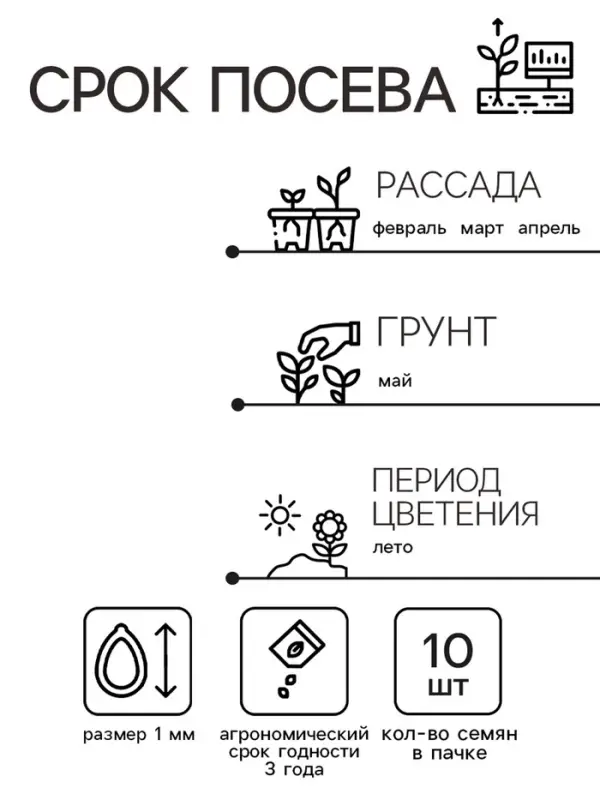 Семена цветов Колеус Визард Скарлет, 10шт Семена цветов Колеус Визард Скарлет, 10шт