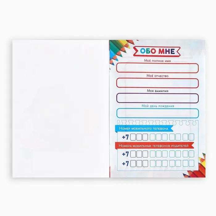 Дневник школьный для первоклассника, сова, 16 страниц,14,8 х 21 см