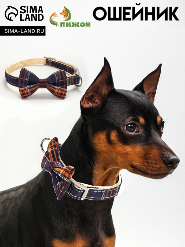 Ошейник Ошейник "Джентельмен в клеточку", 40 х 1,5 см, коричневый