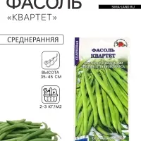 Семена Фасоль спаржевая &laquo;Квартет&raquo;, 3 г, кустовая, &laquo;Золотая Сотка Алтая&raquo;