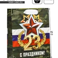 Пакет подарочный ламинированный «23 февраля», S 12 х 15 х 5.5 см