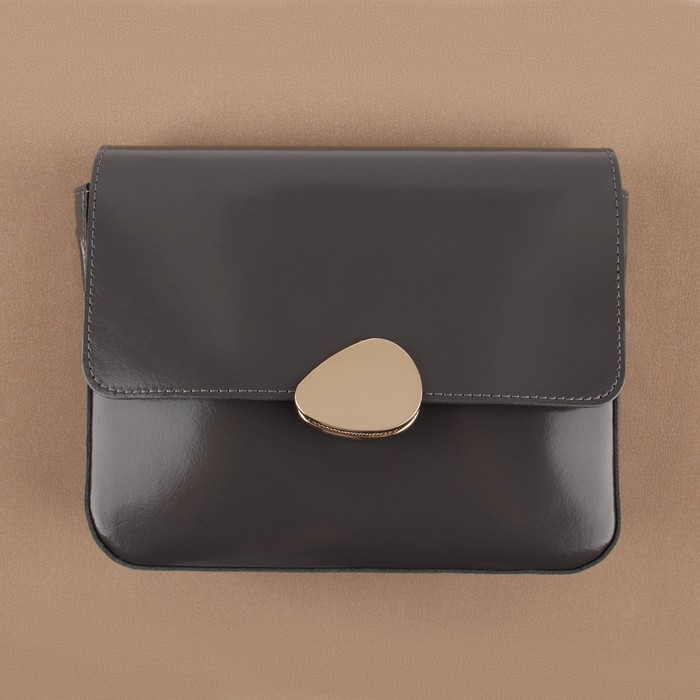 Застёжка для сумки, 4,8 × 3,5 см, цвет золотой Застёжка для сумки, 4,8 × 3,5 см, цвет золотой