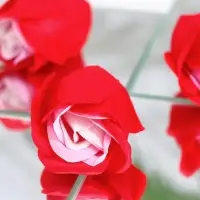 Мыльные розочки, трёхцветные, набор 6 шт., в коробке
