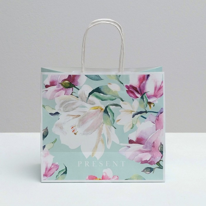 Пакет подарочный крафтовый, упаковка, «Present», 25 х 22 х 12 см Пакет подарочный крафтовый, упаковка, «Present», 25 х 22 х 12 см
