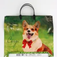 Пакет "Корги, полиэтиленовый, пластиковая ручка 37х35 см 90 мкм Пакет "Корги, полиэтиленовый, пластиковая ручка 37х35 см 90 мкм