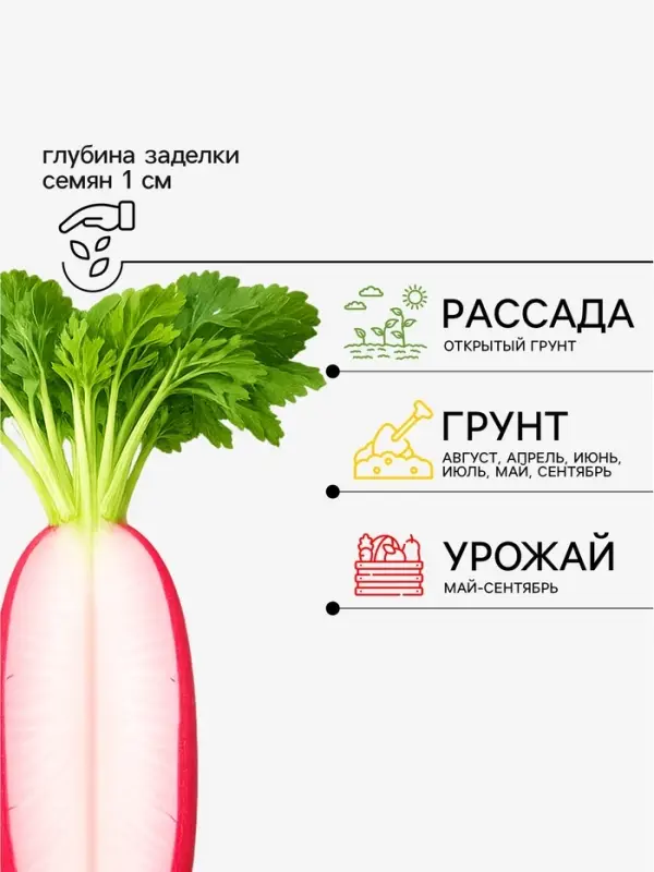 Семена Редис &laquo;18 дней&raquo;, 3 г, &laquo;Сембат&raquo;