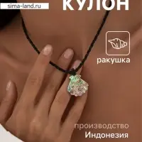 Кулон &laquo;Морское сокровище&raquo;, ракушка абалон