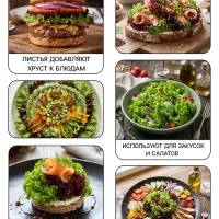 Семена Салат &laquo;Лолло микс&raquo;, смесь, 0.5 г, &laquo;Рецепты дедушки Никиты&raquo;