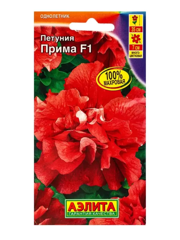 Семена цветов Петуния Прима F1 многоцветковая махровая (драже в пробирке), Ц/П,5 шт. Семена цветов Петуния Прима F1 многоцветковая махровая (драже в пробирке), Ц/П,5 шт.