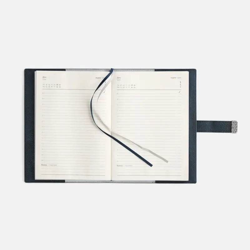 Ежедневник Repute, недатированный, синий Ежедневник Repute, недатированный, синий