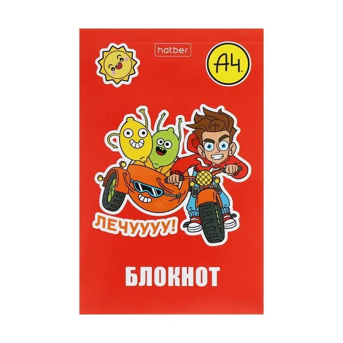 Блокнот А7, 48 листов, в клетку, на склейке, &laquo;Влад А4&raquo;, обложка мелованная бумага, ламинация, трёхцветный блок, блок 60 г/м&sup2;, 5 В МИКС
