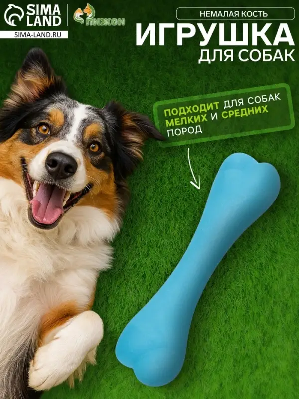 Жевательная игрушка для собак &laquo;Немалая кость&raquo;, 16 см, TPR, синяя