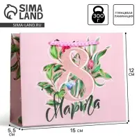 Пакет подарочный ламинированный, упаковка, «8 марта», S 12 х 15 х 5.5 см