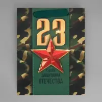 Пакет подарочный ламинированный, упаковка, &laquo;С 23 февраля&raquo;, MS 18&times;23&times;10 см
