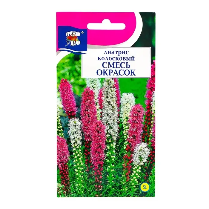 Семена цветов Лиатрис  Семена цветов Лиатрис "Колосковый", Смесь окрасок, 0,1г