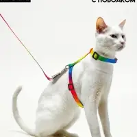 Комплект для кошек &laquo;Радуга&raquo;, ОШ 16.5-27, ОГ 21-35 см, ширина 1 см, поводок 120 см