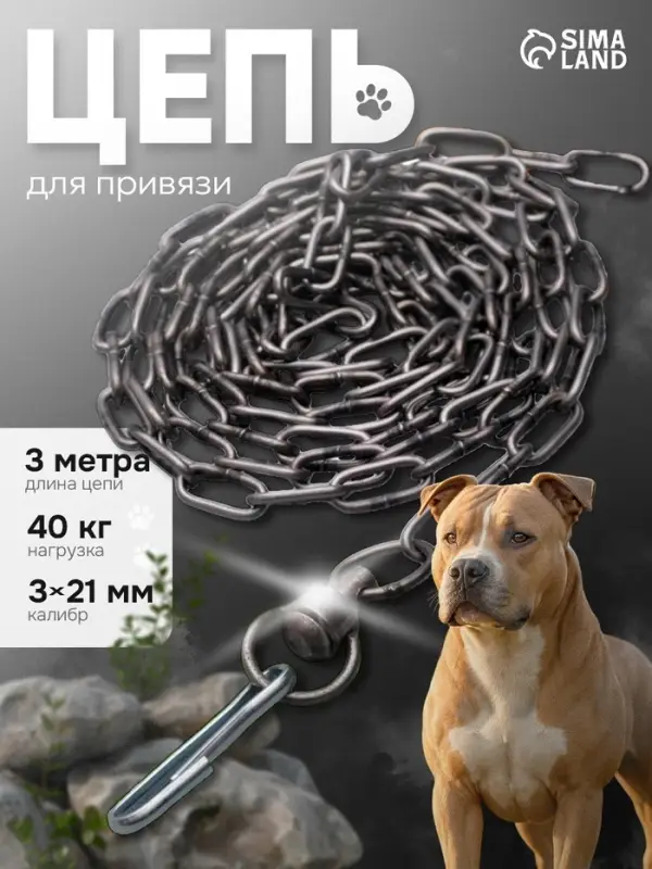 Цепь для привязи собак, 3 м, калибр 3&times;21 мм, черная