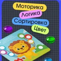 Мозаика, по методике Монтессори, 54 камешка, 10 заданий, 3+