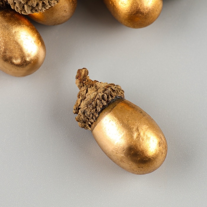 Декор «Золотые желуди», набор 20 шт., для творчества, 3 × 2см Декор «Золотые желуди», набор 20 шт., для творчества, 3 × 2см