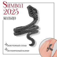 Новый год! Символ года 2025! Кольцо «Змея» два глаза, цвет чернёное серебро, безразмерное