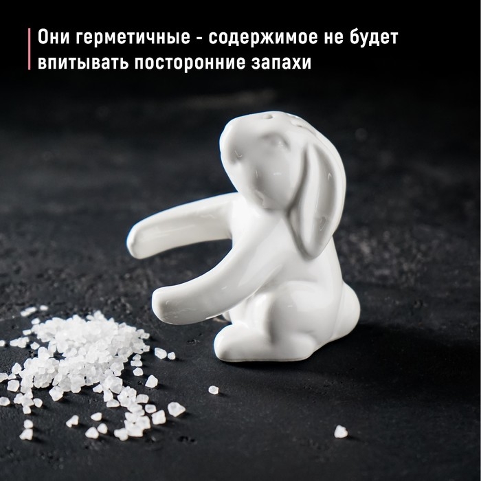 Набор для специй Доляна «Зайка», 2 предмета: солонка 50 мл, перечница 40 мл, цвет белый Набор для специй Доляна «Зайка», 2 предмета: солонка 50 мл, перечница 40 мл, цвет белый