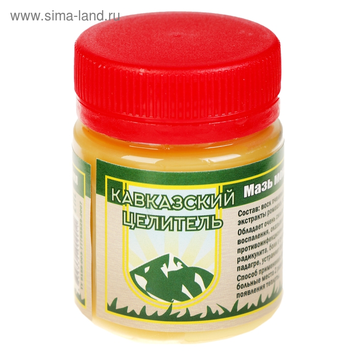 Мазь монастырская «Живица с мухомором». ранозаживляющая, 40 мл Мазь монастырская «Живица с мухомором». ранозаживляющая, 40 мл