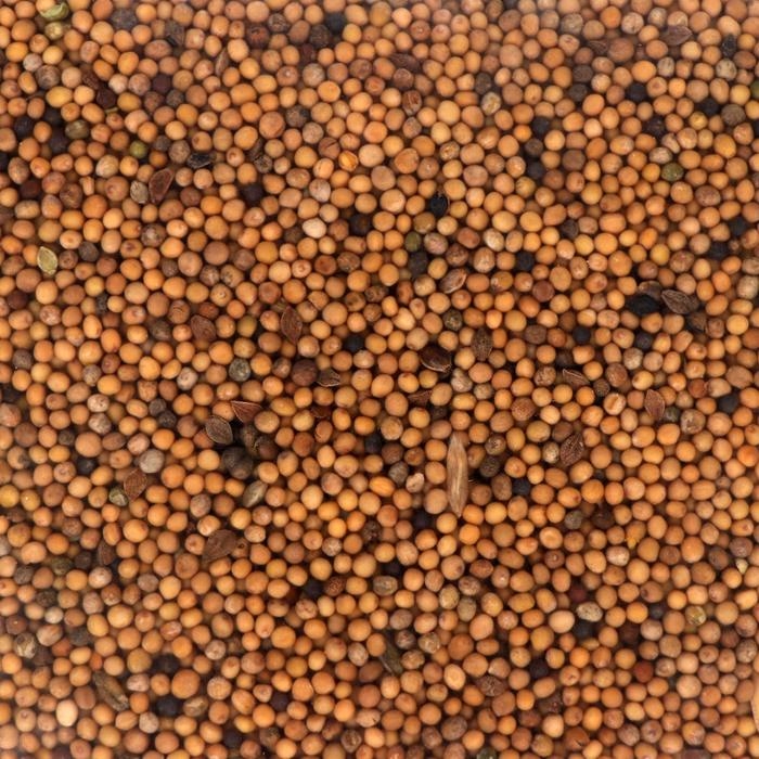 Семена Горчица белая, Мой Выбор, 1,5 кг Семена Горчица белая, Мой Выбор, 1,5 кг