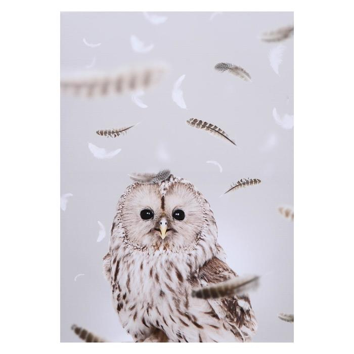 Картина на холсте Картина на холсте "Совушка" 50х70 см
